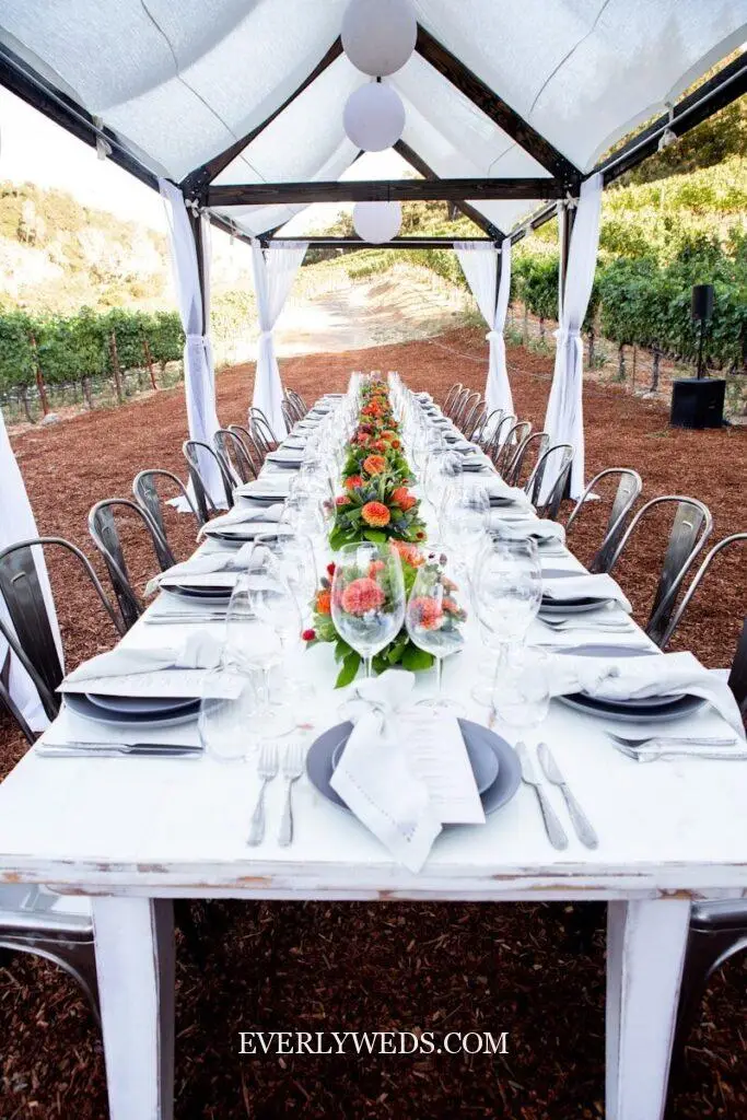 Pretty wedding venue vineyard outdoor ceremony aisle between grapevines with modern minimalist arch and linen chairs