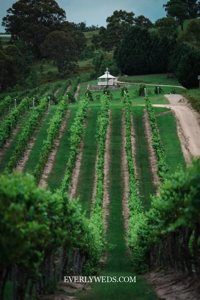 vineyard wedding event venue spaces outdoor ceremony with rows of grapevines at golden hour event venue spaces decor