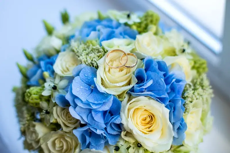 Wedding Budget Breakdown
