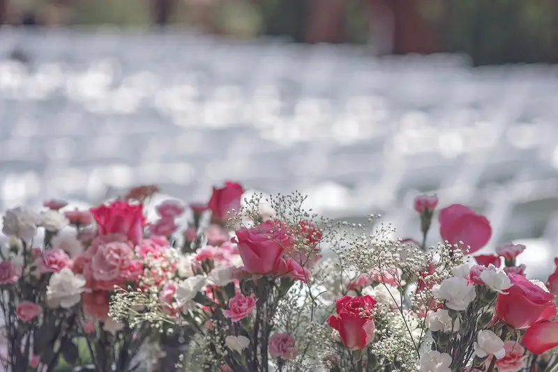 Wedding Budget Breakdown