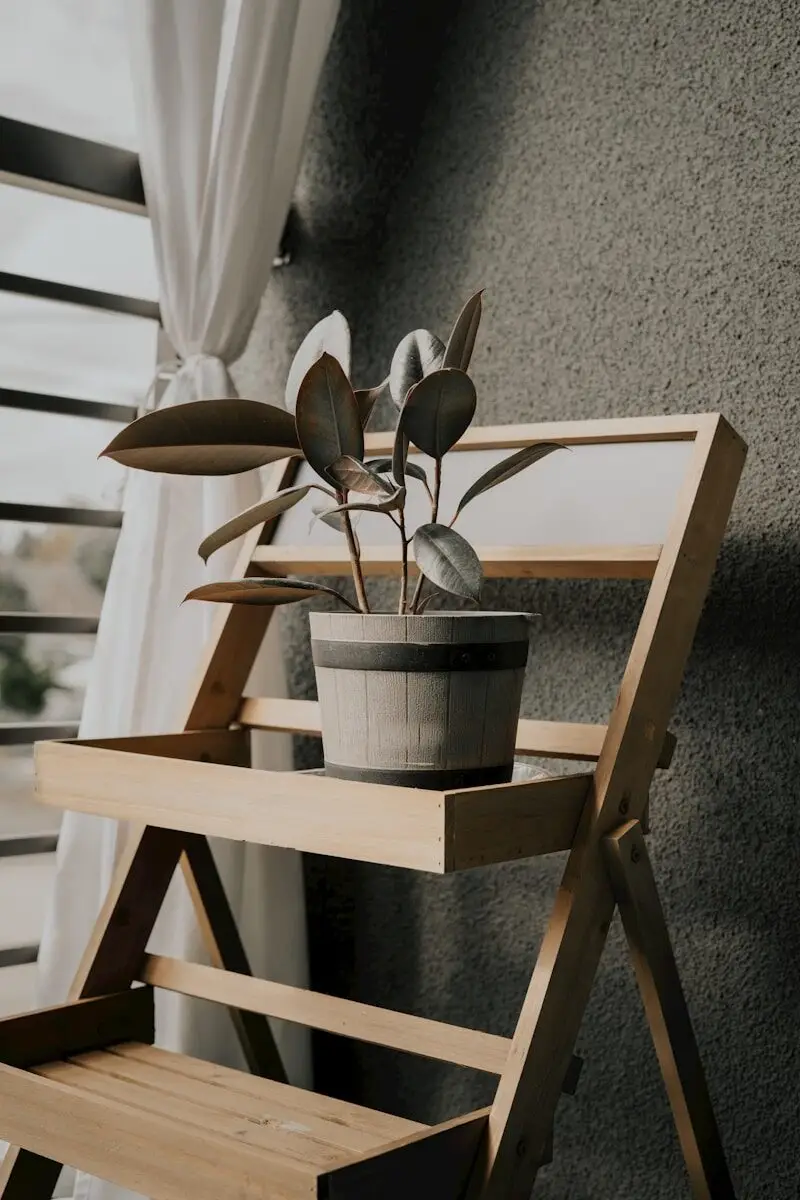 a potted plant sitting on top of a wooden shelf